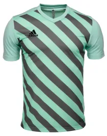 koszulka-dziecieca-sportowa-adidas-t-shirt-treningowa-entrada-22-roz-116