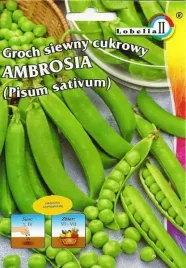 groch-cukrowy-ambrosia-50g-l