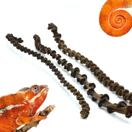 biobanana-liana-lianka-bananowca-30-45cm