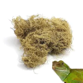 biorock-moss-mech-skalny-25g