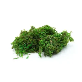 mech-suszony-do-terrarium-naturalnie-barwiony-50g