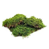 bioflat-moss-mech-platy-50g-stan-nowy