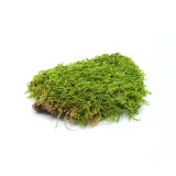bioflat-moss-mech-platy-50g-kod-producenta-bioflat-moss50g