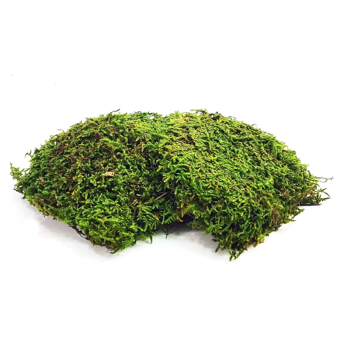 bioflat-moss-mech-platy-50g