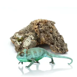 biocork-bits-scinki-kory-debu-korkowego-1kg