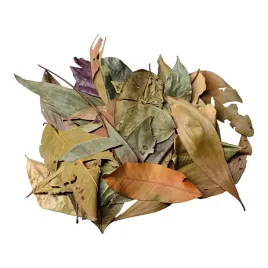 biothai-mix-leaves-liscie-z-tajlandii-mix-20g