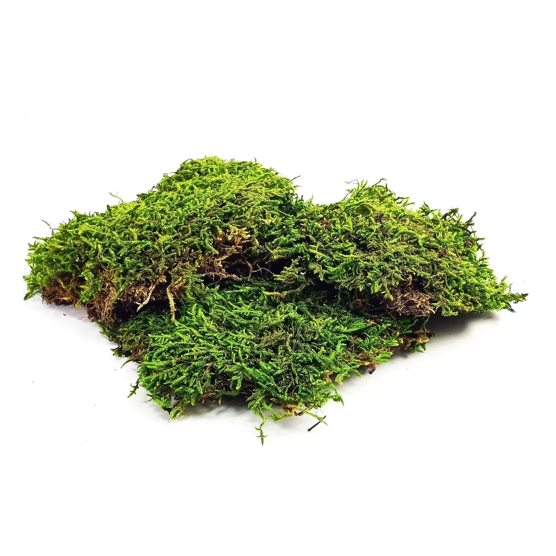 bioflat-moss-mech-platy-100g-stan-nowy