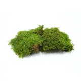 bioflat-moss-mech-platy-100g-stan-nowy-marka-bioterr