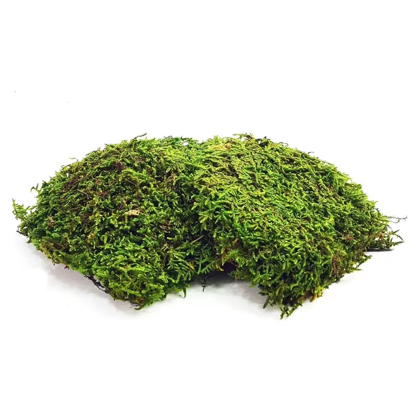 bioflat-moss-mech-platy-100g-stan-nowy-kod-producenta-bioflat-moss100g