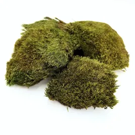 bioclumb-moss-mech-poduchy-100g