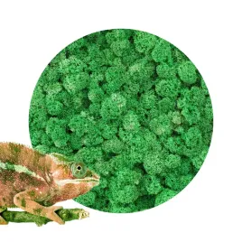 bioice-moss-dark-green-chrobotek-ciemnozielony-25g