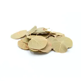 biocoin-leafs-listki-coin-15g