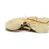 biocoin-leafs-listki-coin-15g-stan-nowy