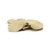 biocoin-leafs-listki-coin-15g-marka-bioterr