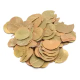 biocoin-leafs-listki-coin-15g-kod-producenta-biocoin15g