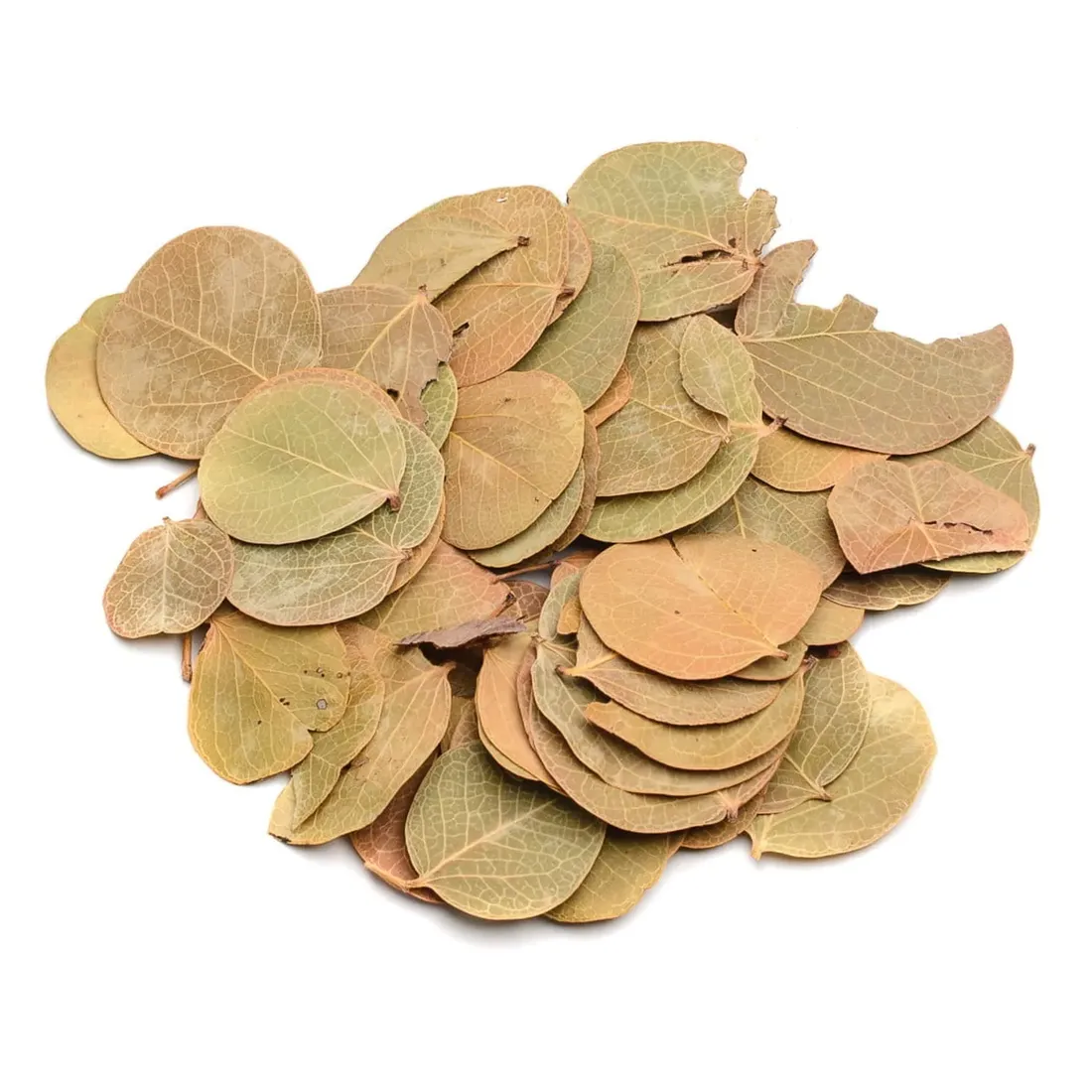 biocoin-leafs-listki-coin-15g
