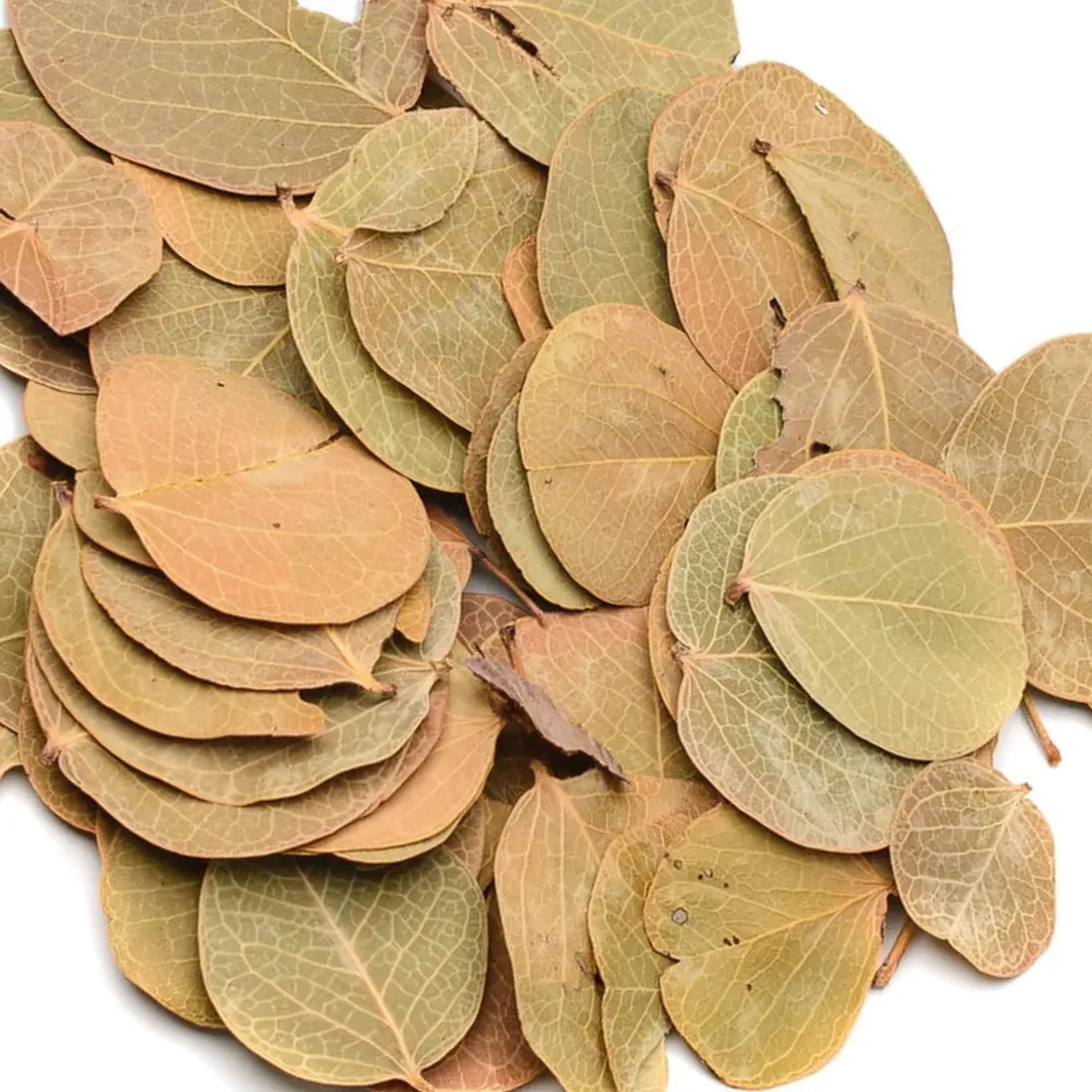 biocoin-leafs-listki-coin-15g-stan-nowy