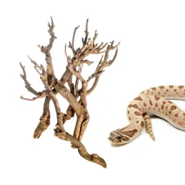galaz-galezie-do-terrarium-stepowego-pustynnego-30-50cm-paczka-2-3szt