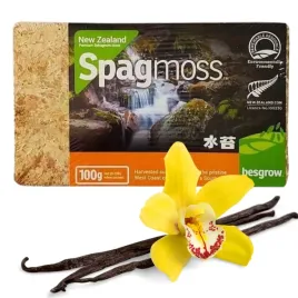 mech-prasowany-torfowiec-sphagnum-moss-8l-brykiet-100g-do-terrarium-spagmos
