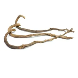 biobanana-branch-liana-bananowca-60-70cm