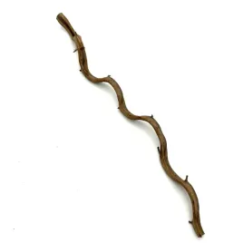biothai-liana-do-terrarium-1-2cm-50cm