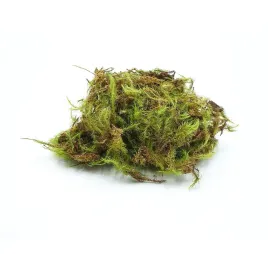 biogreen-moss-mech-zielony-do-terrarium-25g