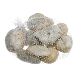 kamienie-rzeczne-bezowe-do-terrarium-1kg-8-12-szt