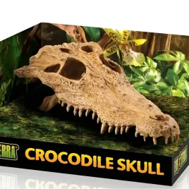 exo-terra-crocodile-skull-czaszka-krokodyla-ex-8565