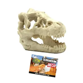 reptile-nova-skull-czaszka-dinozaura-dekoracja-do-terrarium-16x11x9cm