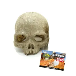 reptile-nova-skull-czaszka-naczelnego-dekoracja-do-terrarium-11x14cm