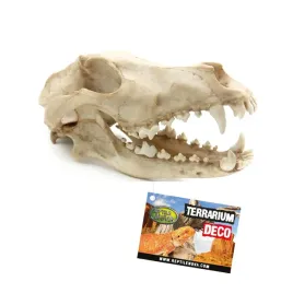 reptile-nova-skull-czaszka-wilka-dekoracja-do-terrarium-27x13x135cm