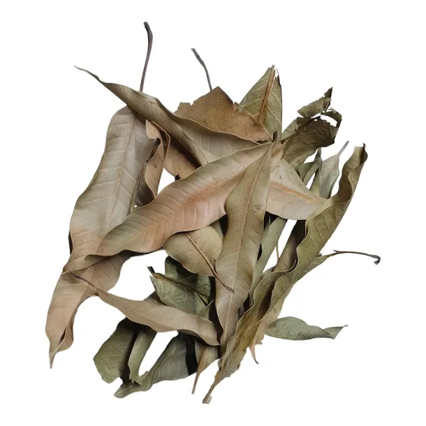 biothai-mango-leaves-liscie-mango-20g