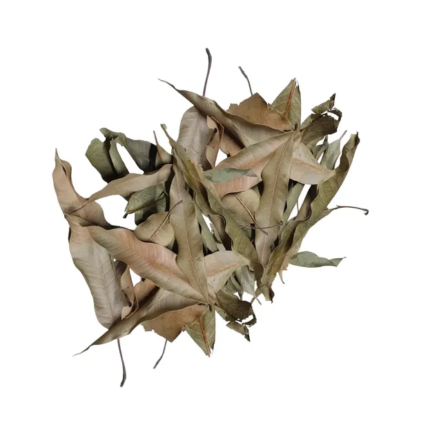 biothai-mango-leaves-liscie-mango-20g-stan-nowy