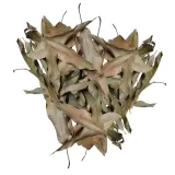 biothai-mango-leaves-liscie-mango-20g-marka-bioterr