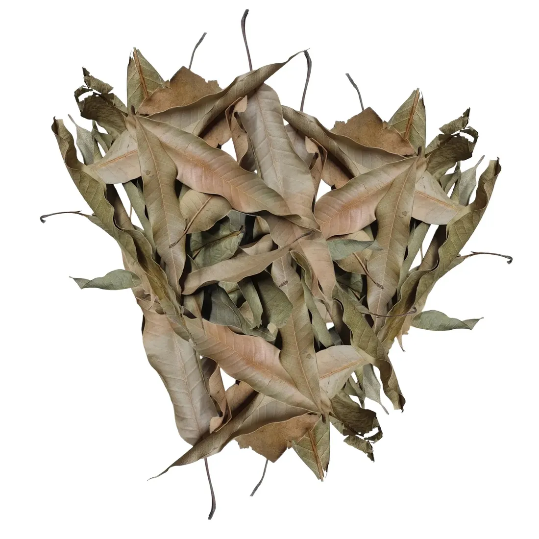 biothai-mango-leaves-liscie-mango-20g-stan-nowy