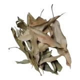 biothai-mango-leaves-liscie-mango-20g-kod-producenta-biothai-mango