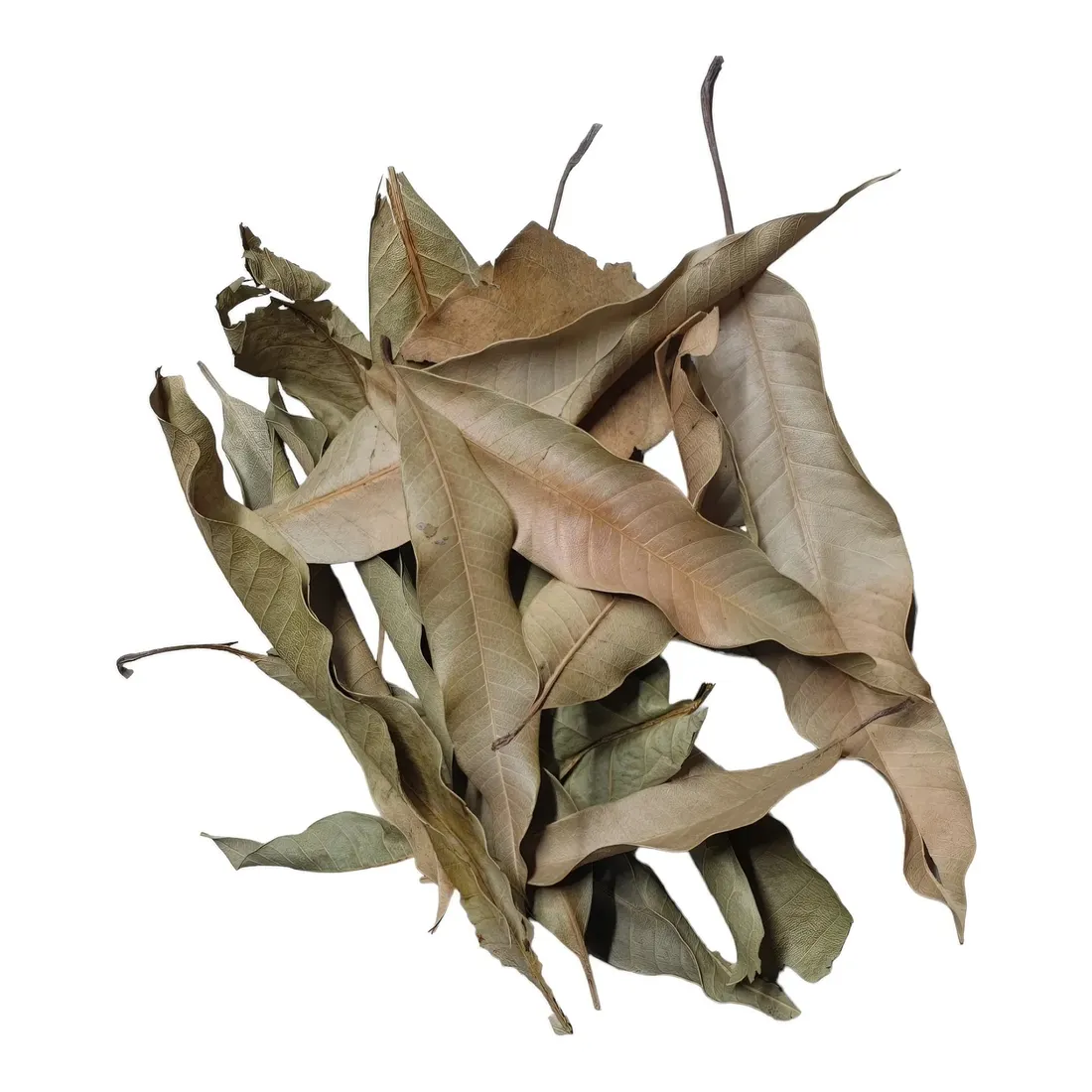 biothai-mango-leaves-liscie-mango-20g-stan-nowy