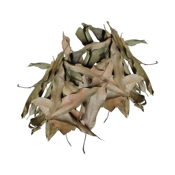 biothai-mango-leaves-liscie-mango-20g-stan-nowy-marka-bioterr