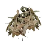 biothai-mango-leaves-liscie-mango-20g-stan-nowy-marka-bioterr