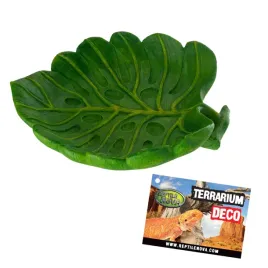 reptile-nova-dish-leaf-miska-do-terrarium-na-wode-i-jedzenie-15x135x35cm