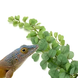 biobush-no4-roslina-sztuczna-tropikalna-do-terrarium-eukaliptus
