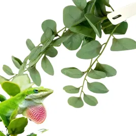 biobush-no5-roslina-sztuczna-tropikalna-do-terrarium-fitonia