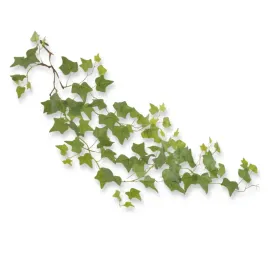 bioplant-hanging-ivy-large-bluszcz-sztuczny-do-terrarium-galaz-109cm