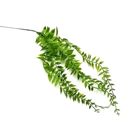 roslina-zwisajaca-krotka-40-50cm-roslina-do-terrarium