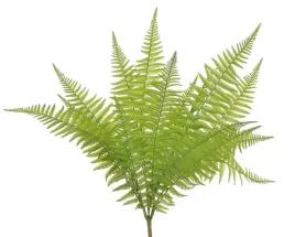 bioplant-fern-no-3-paproc-paprotka-do-terrarium-zielona-54cm
