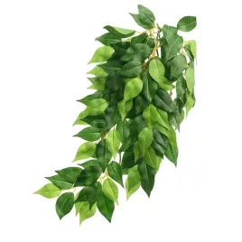exo-terra-ficus-large-roslina-do-terrarium-duza-ex-0506