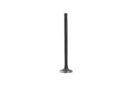 zawor-wydechowy-benelli-125-ccm-bn125-eu4-eu5-tnt-125-eu4-eu5