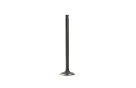 zawor-ssacy-dolotowy-benelli-250-ccm-bn-251-eu3-eu4-leoncino-250-eu4-eu5-tr