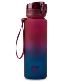 bidon-600ml-coolpack-brisk-costa