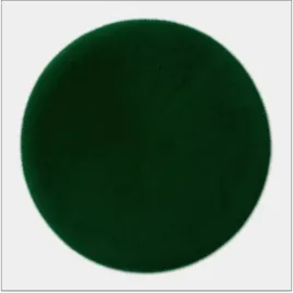 dywan-bellarossa-kolo-miekki-nowoczesny-zielony-80x80